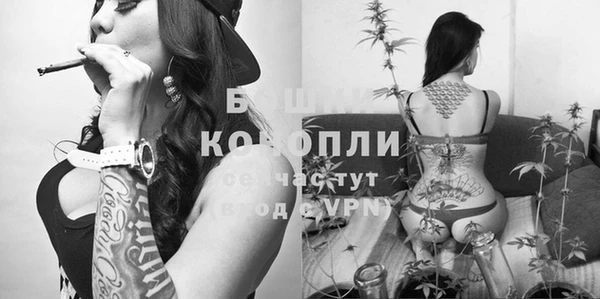 гидра Иннополис