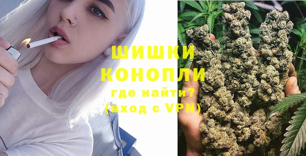 прущая мука Инсар
