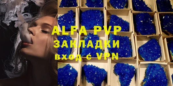 ALPHA PVP Инта