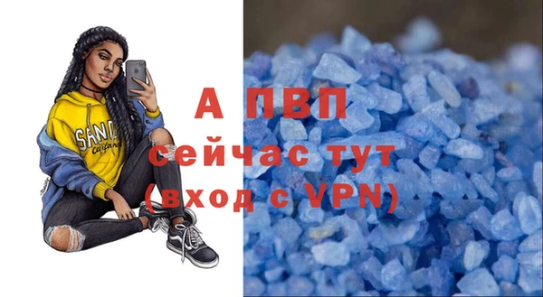 ALPHA PVP Инта