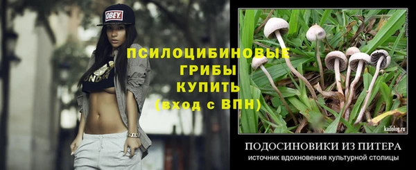 прущая мука Инсар
