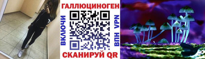 Псилоцибиновые грибы Cubensis Карачев
